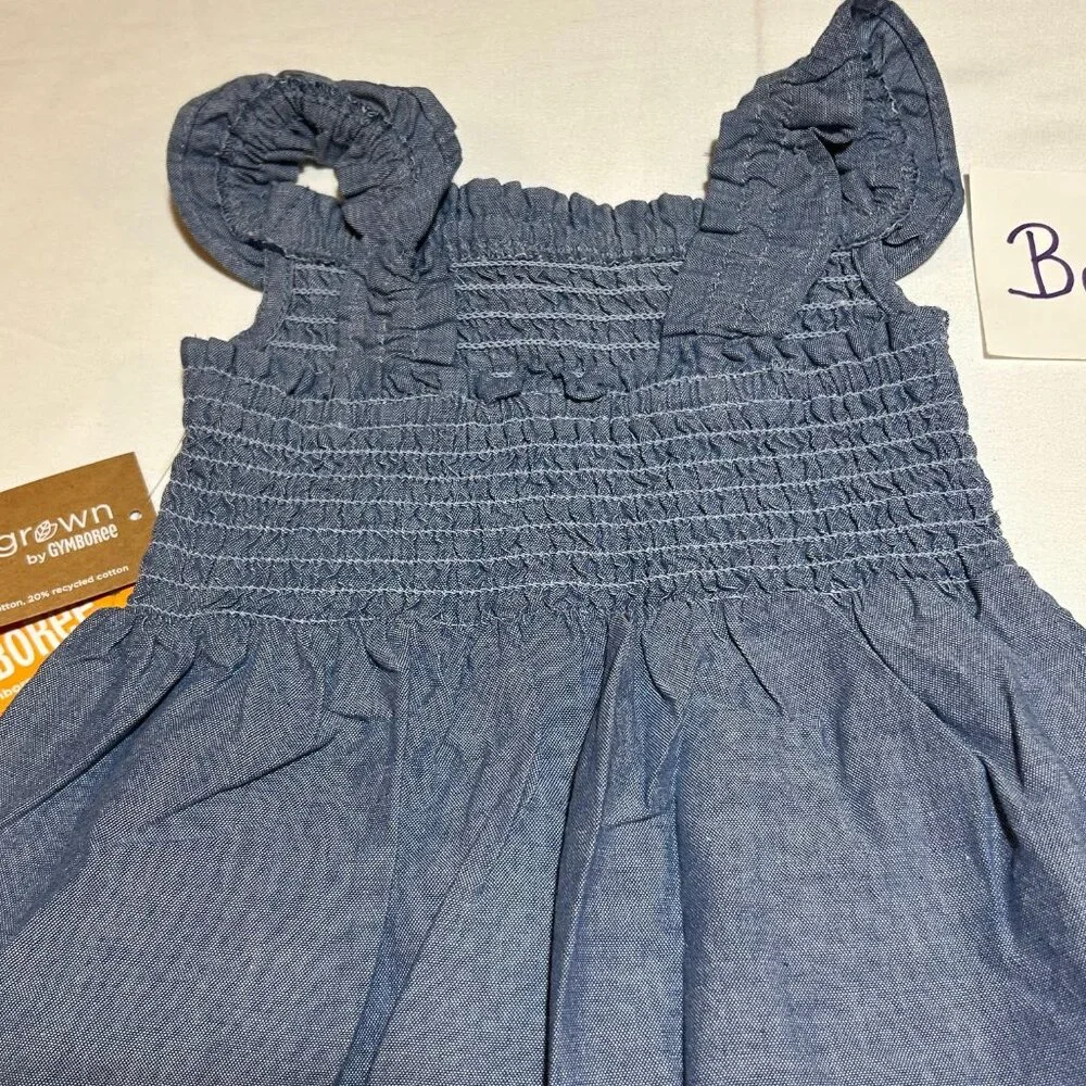 Gymboree Baby Girls 12-18 Months Embroidered Floral Chambray Flutter Dress NWT